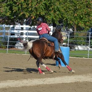 Meet your Posher, Sapphire